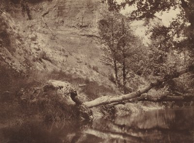 川岸、1855年頃1855年（写真） 作： Frank Chauvassaigne