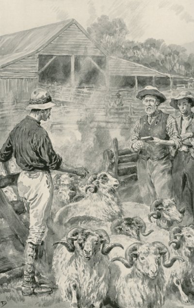 カンタベリー平原の羊ステーション 作： Frank Dadd