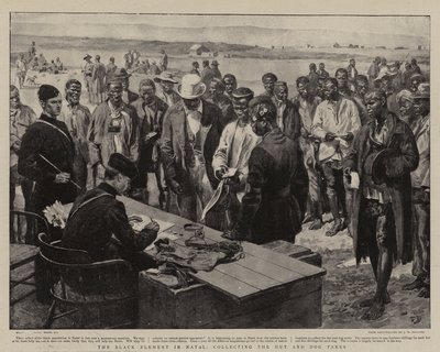 小屋と犬の税金を集めるナタールの黒人要素 作： Frank Dadd