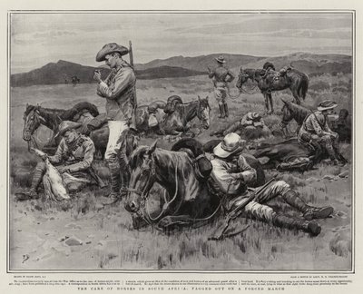 南アフリカの馬の世話、強制行進で弱体化 作： Frank Dadd