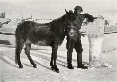 ミュールラルカーン、c1911、1913年のグラン 作： Frank Debenham