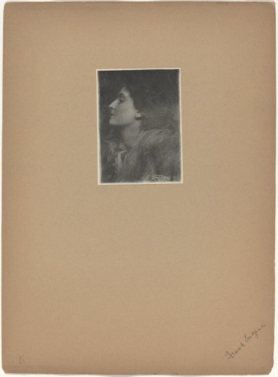 シャーロットの貴婦人、1901 年。 作： Frank Eugene