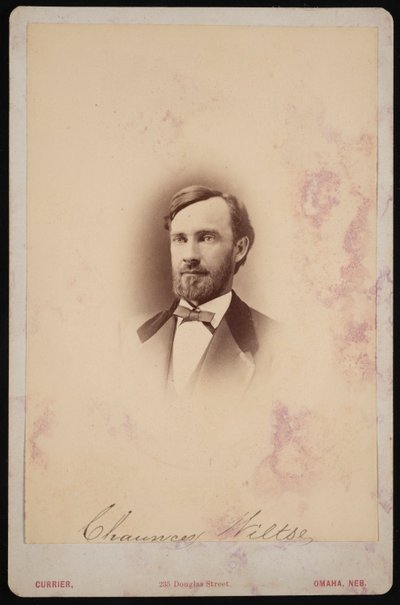 Chauncey Wiltse 1834-1894、1875-1876 の肖像。 作： Frank F Currier