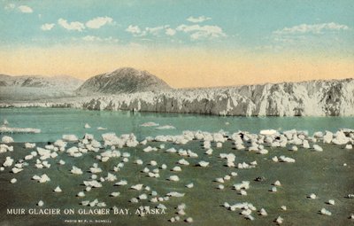 ミューア氷河、氷河湾、アラスカ、米国 (カラー写真) 作： Frank H. Nowell