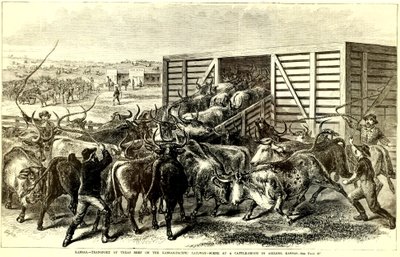 カンザス州アビリーンのキャトルシュート（1871年頃）（彫刻 作： Frank Leslie