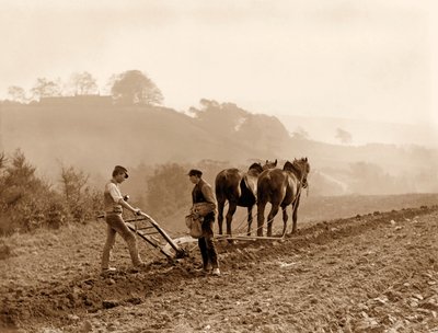 ウィットビーのリアルホルムホールファームのフィールドを耕している農民。 1889年頃 作： Frank Meadow Sutcliffe