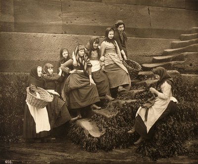 捕まる日々を待っている女性たち、ウィットビーハーバー、ノースヨークシャー、c.1899 作： Frank Meadow Sutcliffe