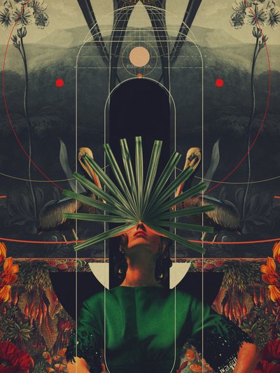  作： Frank Moth