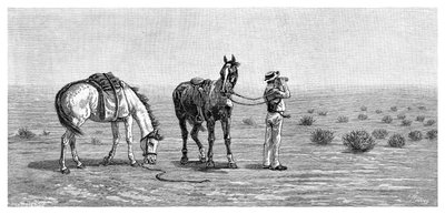 何も見えない、1886年。 作： Frank P. Mahony