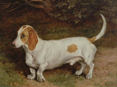 私の好きなダックスフント、1885 作： Frank Paton