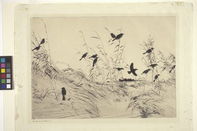 Blackbirds And Rushes (紙にインク) 作： Frank Weston Benson