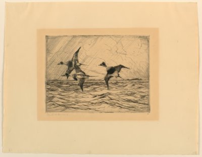 英泉天 作： Frank Weston Benson