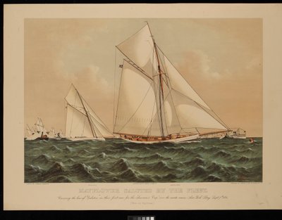 艦隊に敬礼するメイフラワー号。アメリカズカップ初レースでガラテアの船首を横切る...1886年9月7日、ニューヨーク湾 [メイフラワー号が優勝]. 作： Franklyn (after) Bassford