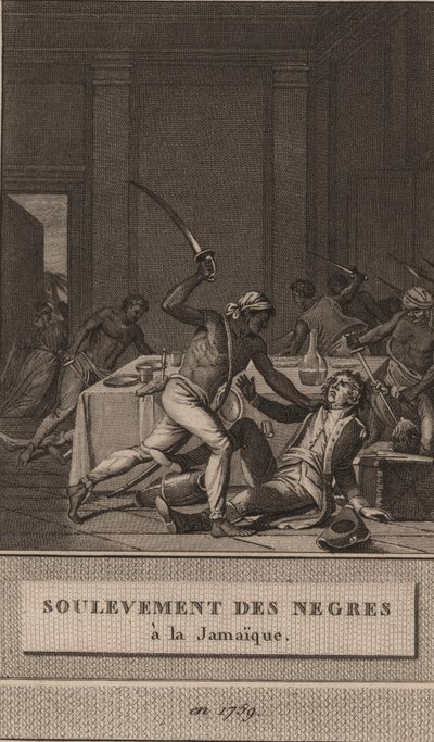 1760年、1800年のジャマイカでの黒人奴隷の蜂起。 作： François Anne David