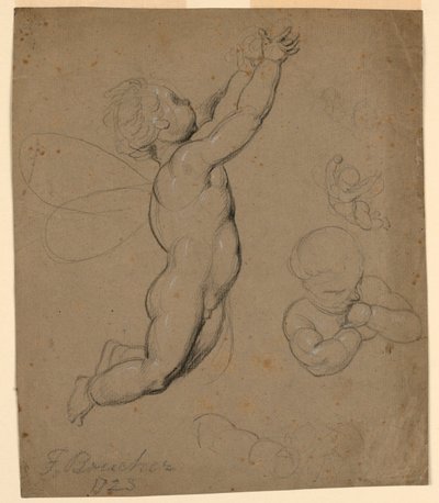 プッチの研究 作： François Boucher