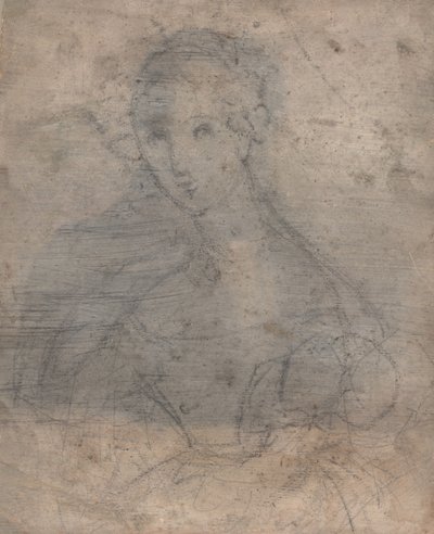マリー・ルイーズ・テトゥ、マダム・フランソワ・フライシュバイン、1833年以前のスケッチ（ミクストメディア（ペン、インク、チョーク）） 作： François Fleischbein