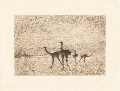 砂漠のダチョウ 作： François Nicolas Auguste Feyen Perrin