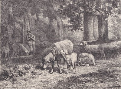 マガシン・ピトレスクの羊、1862年。 作： François Rouget