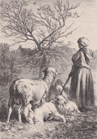 羊飼い、カリフォルニア州。 1852年。 作： François Rouget