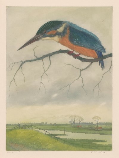 牧草地の風景の中の枝にカワセミ 作： Frans Everbag (signed by artist)