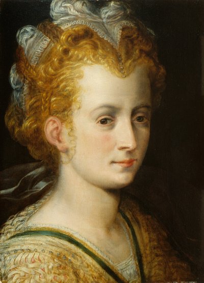 若い女性の頭、1555年頃 作： Frans Floris