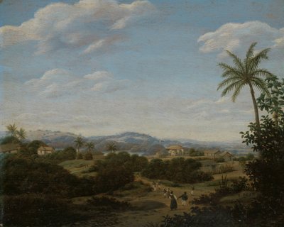 ブラジルの風景 ブラジルの風景 作： Frans Post
