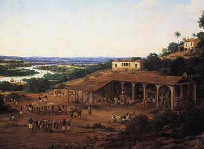 ブラジルのサトウキビ畑 フランツ・ポスト（1612-1680）作 油彩・キャンバス 作： Frans Post