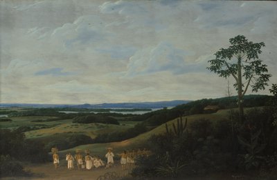 ブラジルの風景、1650年。 作： Frans Post
