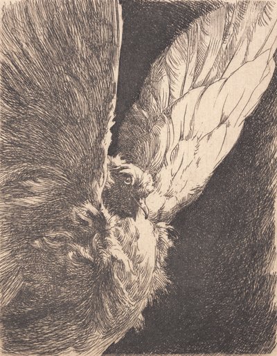 期限 作： Frans Schwartz