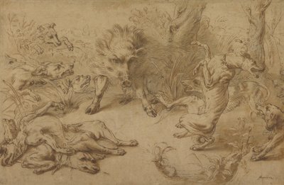 湾内のイノシシ 作： Frans Snijders