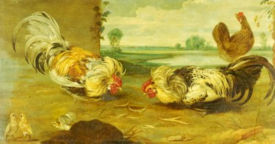コックファイト 作： Frans Snyders or Snijders