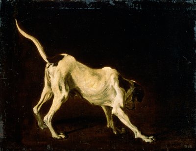 犬、17世紀 作： Frans Snyders or Snijders