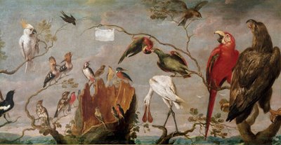 鳥の演奏会 フランシス・スナイデルス（スナイデルス）（1579-1657）の絵画 17世紀 マドリッド、プラド美術館 作： Frans Snyders