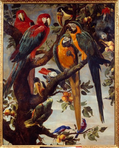 オウムとその他の鳥たち フランシス・スナイダーズ（1579-1657）作 17世紀 日1,22x0,98 m グルノーブル、Musee des Beaux Arts 作： Frans Snyders