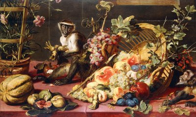 サルとドレープテーブルにフルーツのこぼれたバスケット 作： Frans Snyders or Snijders