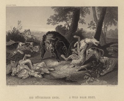 イノシシ狩り 作： Frans Snyders or Snijders