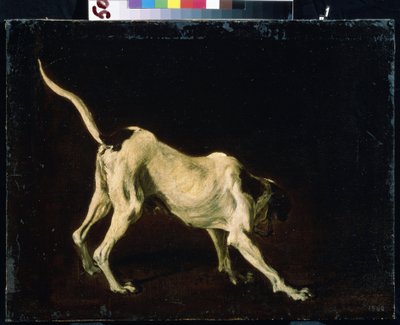 犬（犬）。 Frans Snyders (1579-1657) による絵画。 キャンバスに油彩 作： Frans Snyders or Snijders