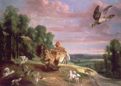 鷹と雌鶏 作： Frans Snyders or Snijders