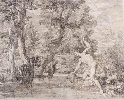水仙とエコー、17 世紀。 作： Frans van der Neve