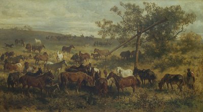19世紀の谷の馬 作： Franz Adam