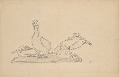 ペリカンの群れの下書き 作： Franz Barwig d. Ä.
