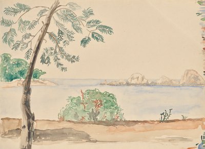 フロリダの海岸(?) 作： Franz Barwig d. Ä.