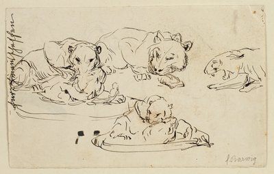 うなるスンダパンサー 作： Franz Barwig d. Ä.