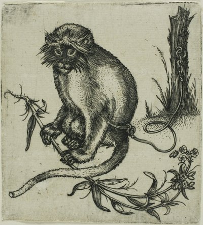 鎖につながれた猿 作： Franz Brun