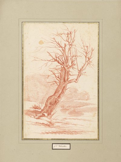 樹木研究 作： Franz Edmund Weirotter