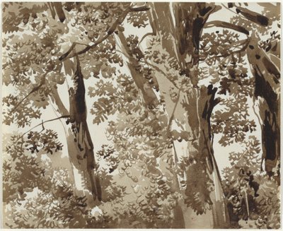 下草が密集した樹木 作： Franz Innocenz Josef Kobell
