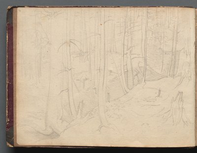 ローマとその周辺の景色を含むアルバム、風景研究、01b ページ: ローマの風景。 作： Franz Johann Heinrich Nadorp