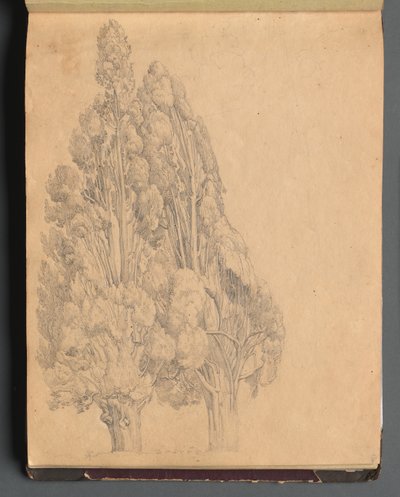 ローマとその周辺の景色を含むアルバム、風景研究、13a ページ: 木。 作： Franz Johann Heinrich Nadorp