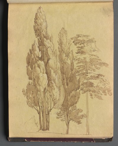 ローマとその周辺の景色を含むアルバム、Landscape Studies、15a ページ: 木 作： Franz Johann Heinrich Nadorp