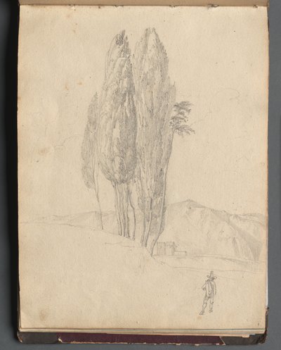 ローマとその周辺の景色を含むアルバム、Landscape Studies、20a ページ: 木 作： Franz Johann Heinrich Nadorp